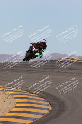 media/Mar-12-2023-SoCal Trackdays (Sun) [[d4c8249724]]/Turns 9 and 10 (1020am)/
